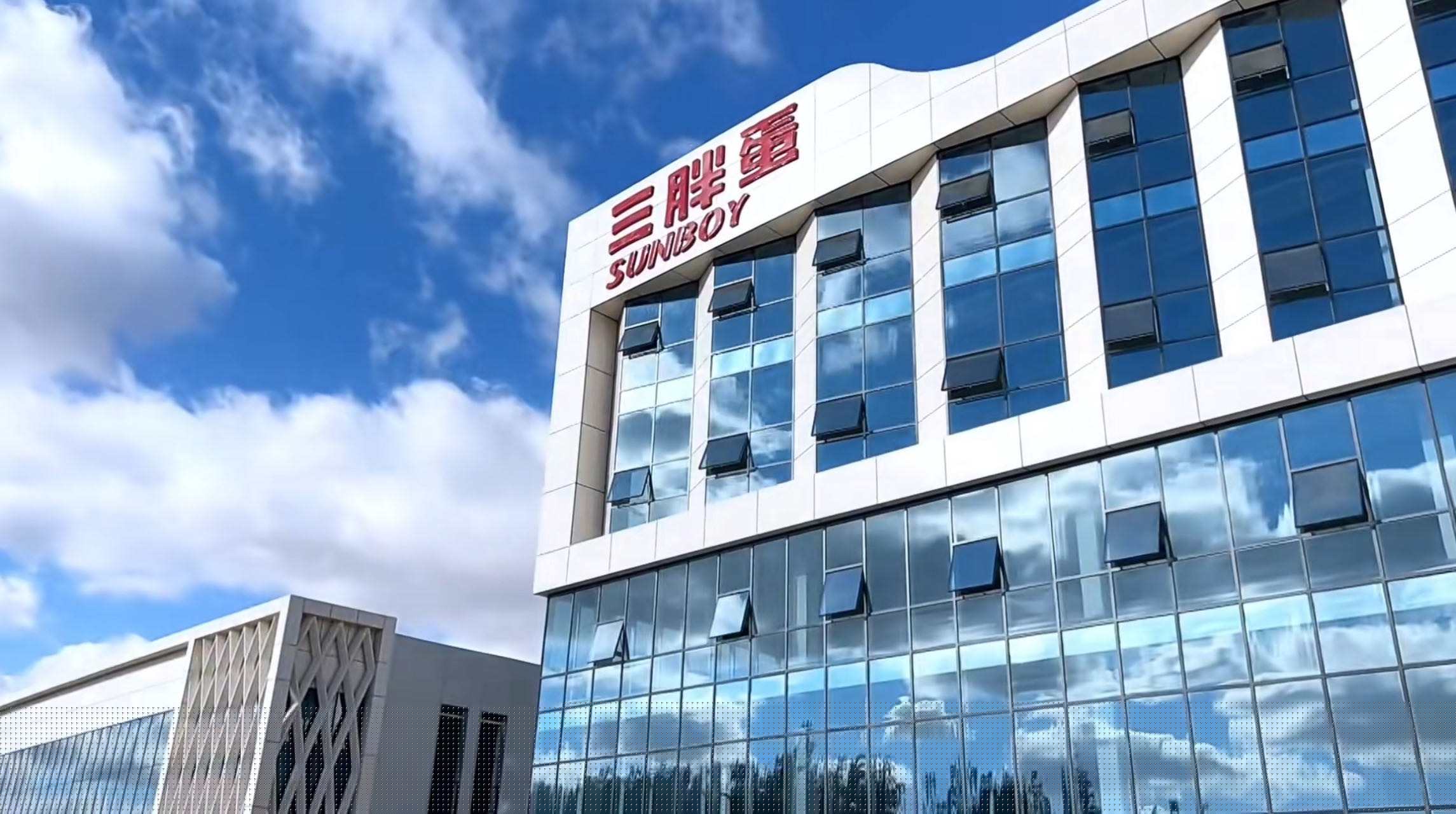 内蒙古三胖蛋瓜子生产工厂